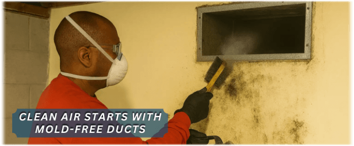 Air Duct Mold Removal in Rockwall