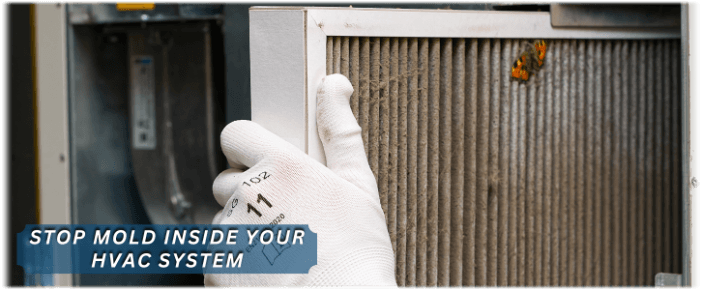 HVAC Mold Removal Rockwall
